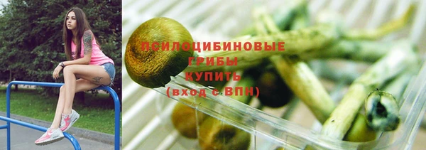 шишки Арсеньев