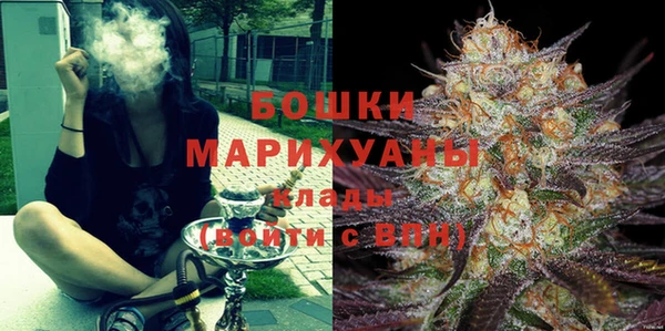 шишки Арсеньев