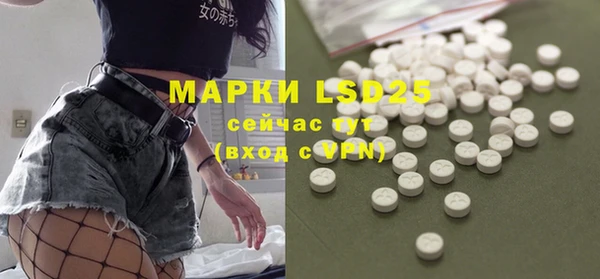 шишки Арсеньев