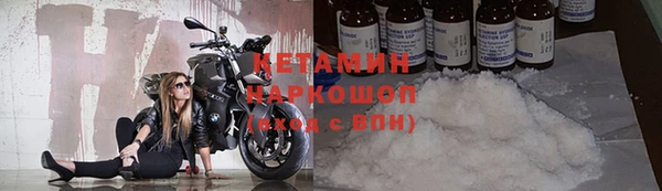 шишки Арсеньев