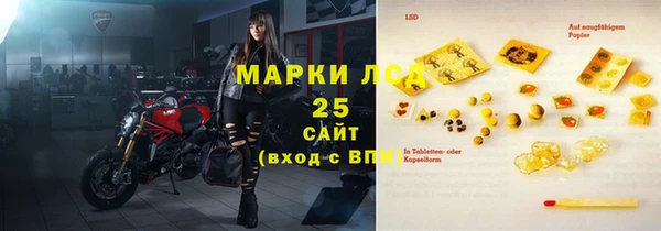 шишки Арсеньев
